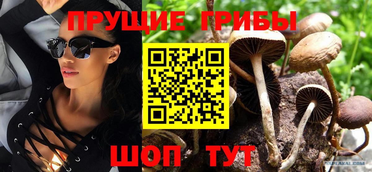 Псилоцибиновые грибы ЛСД  купить   Кулебаки  Вход с VPN 